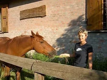 Agriturismo Ravaglia Grande Castel Guelfo Di Bologna Casa di campagna