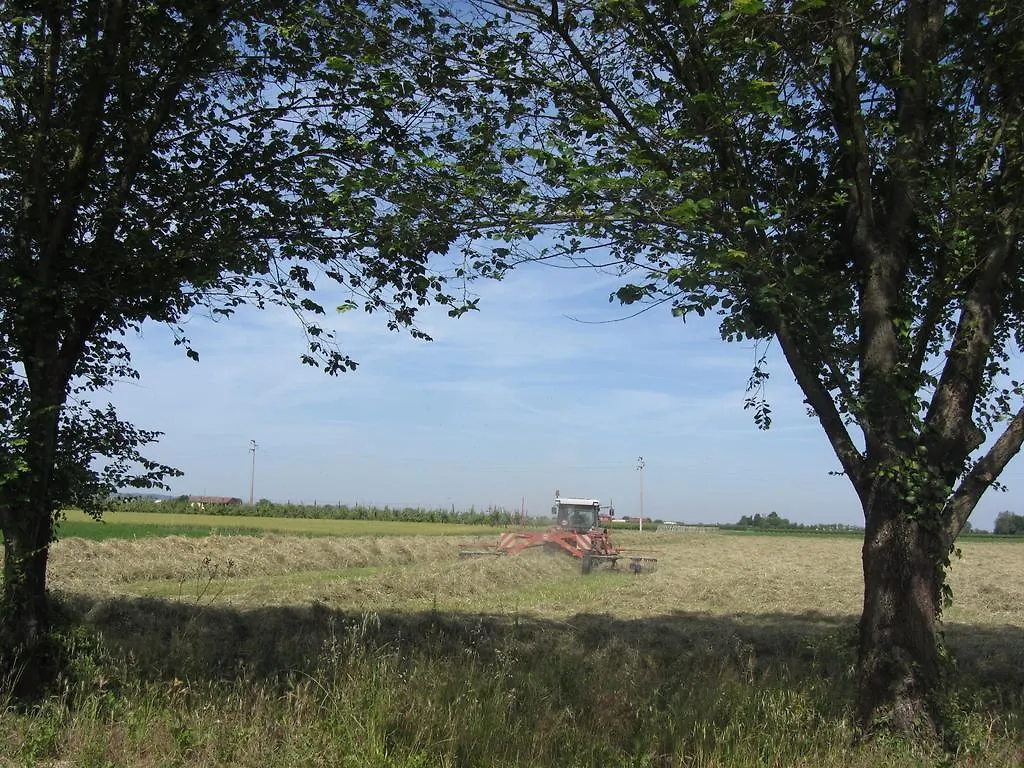 Agriturismo Ravaglia Grande Castel Guelfo Di Bologna Country house